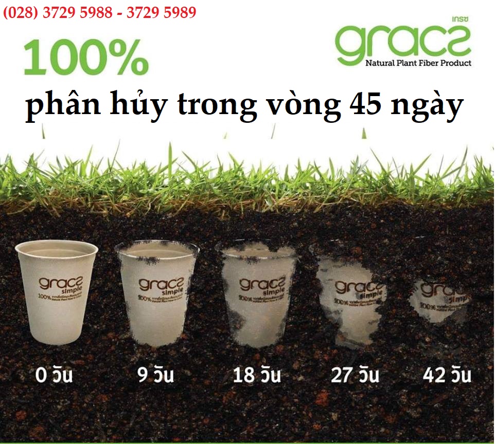 Đĩa giấy tròn bã mía Thái Lan 25cm - thương hiệu Gracz