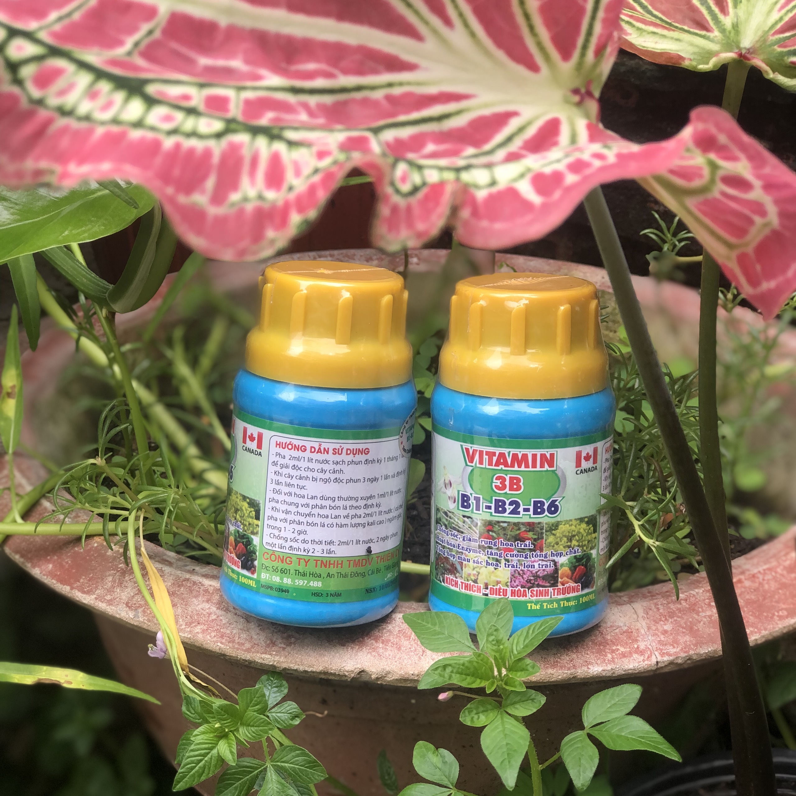 Vitamin 3B Chống sốc, giải độc, điều hòa sinh trưởng cho Lan và cây cảnh 100ml