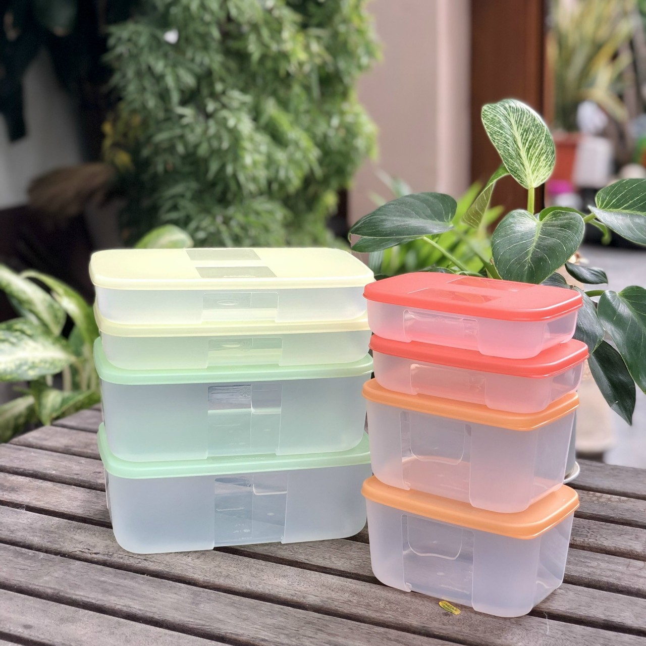 Bộ Trữ Đông Tupperware Freezermate Colorful Set 8 - Tupperware hàng chính hãng