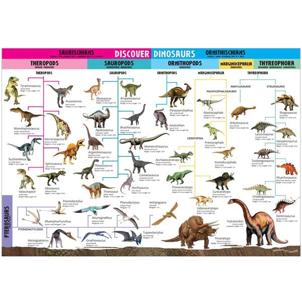 Wonders Of Learning Educational Wall Chart: Discover Dinosaurs