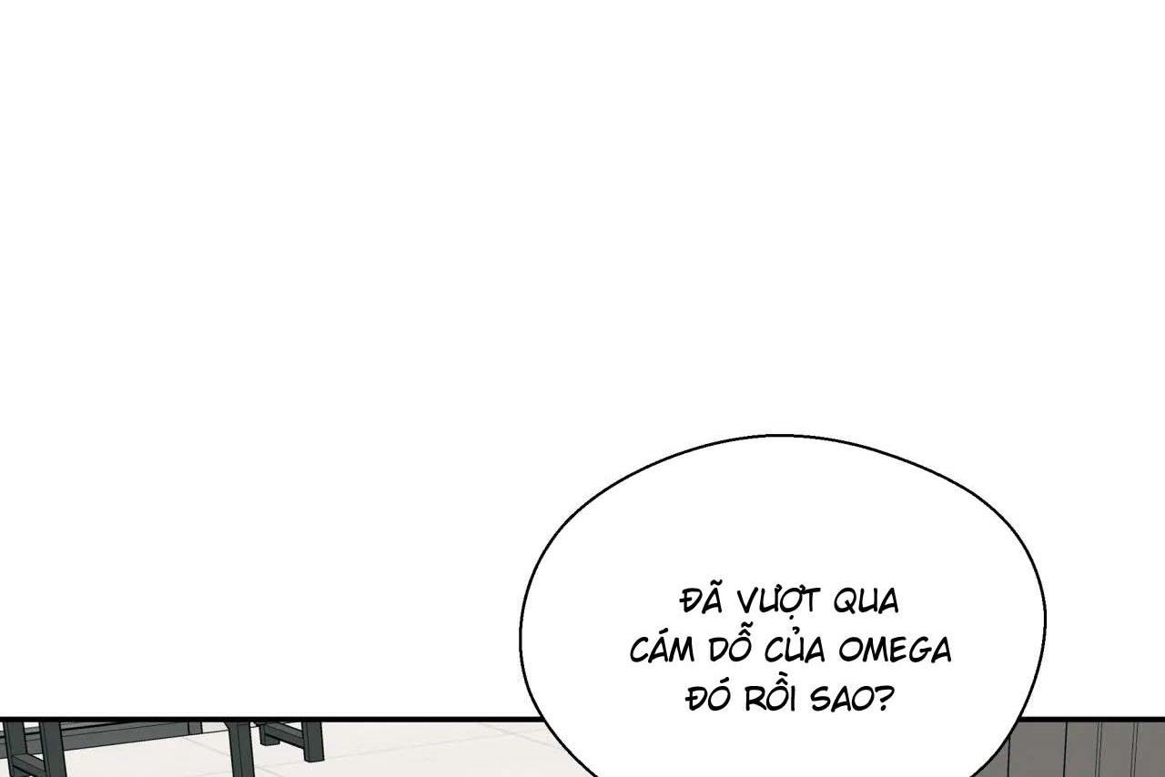 ám ảnh pheromone chapter 56 81