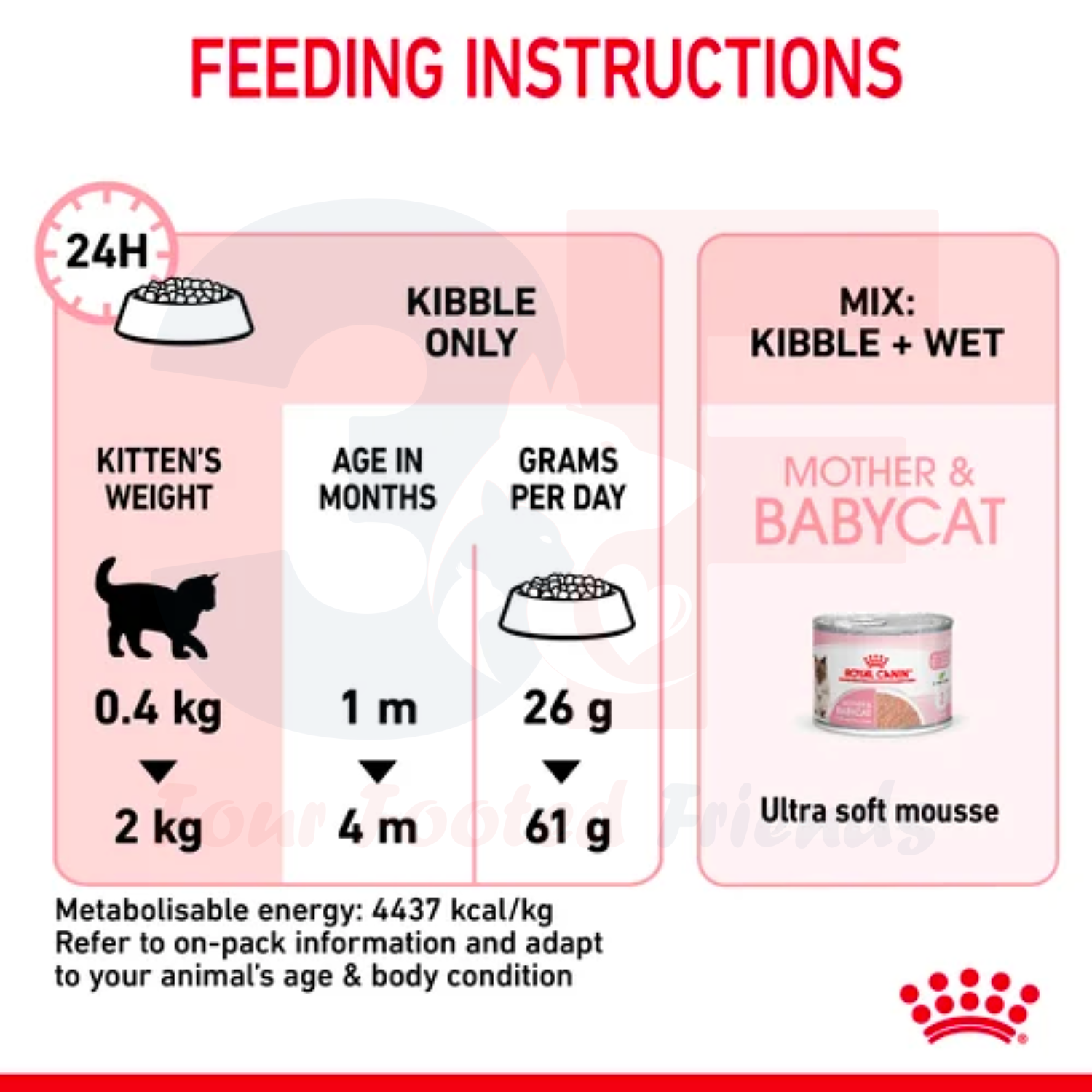 Thức Ăn Cho Mèo Mang Thai Và Mèo Con Royal Canin Mother Anh Babycat