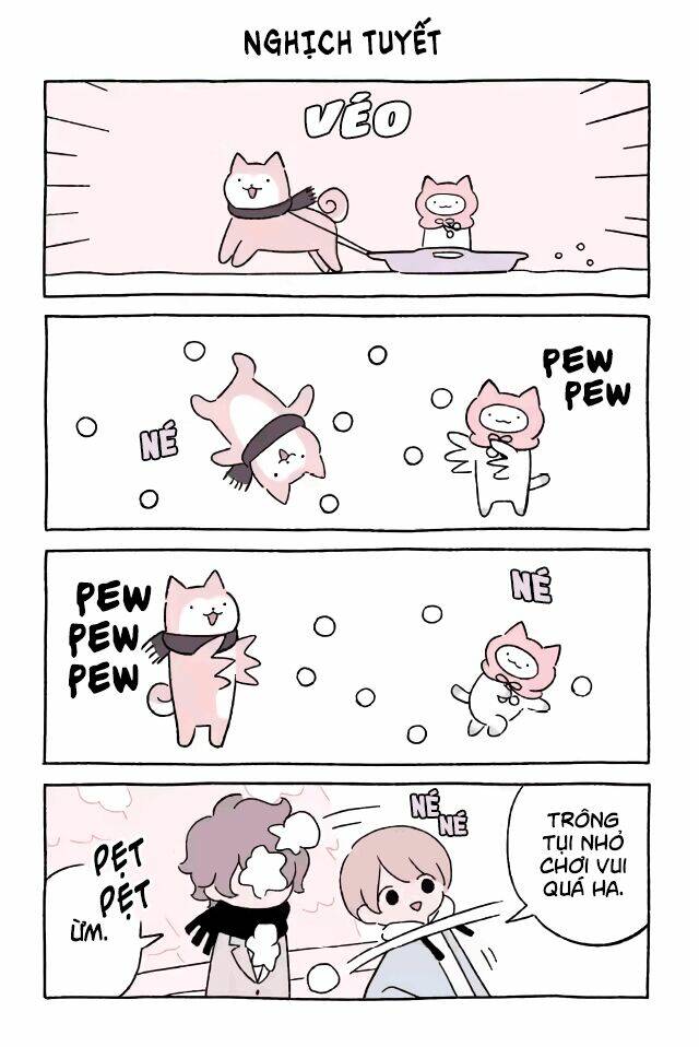 chú mèo kỳ diệu kyuu-chan chapter 556 2