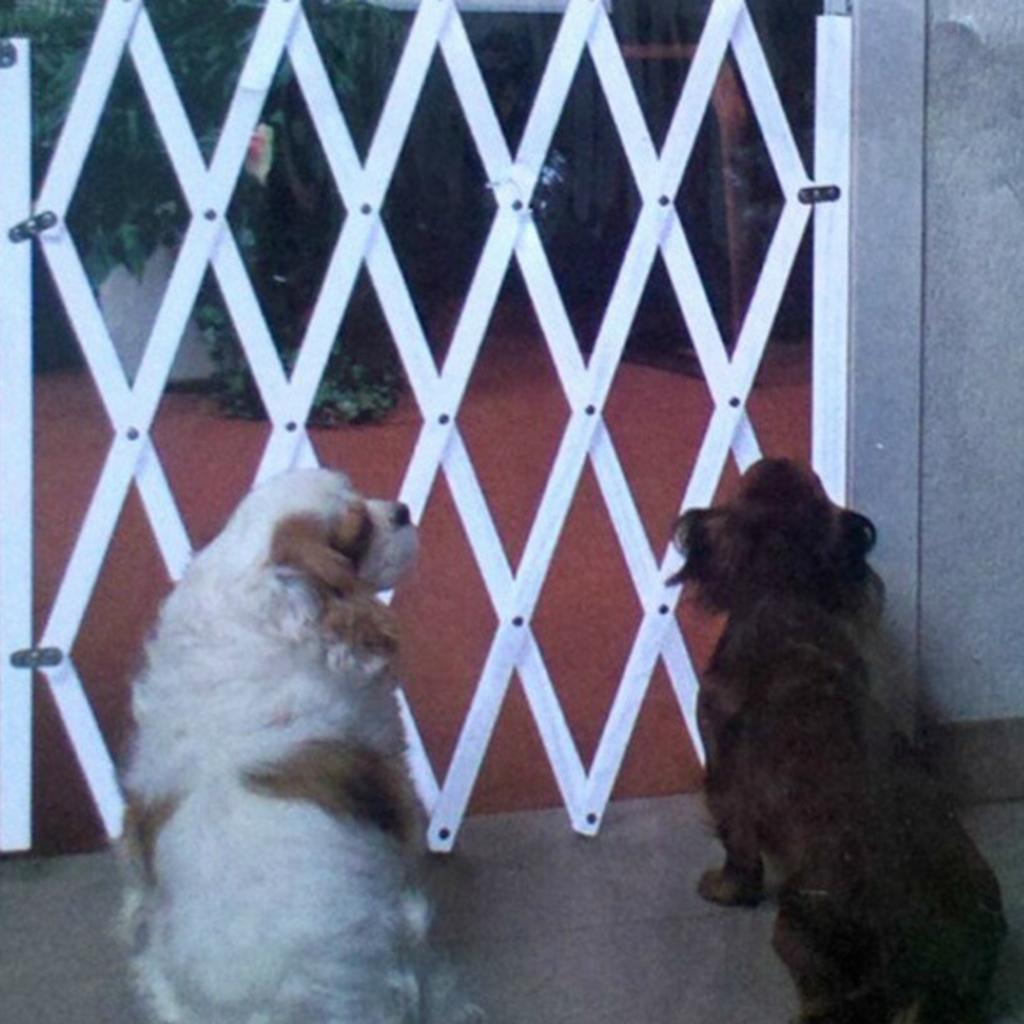 2 Cái Có Thể Gập Lại Bằng Gỗ Thú Cưng Cổng Không Có Cửa, Tự Do Cao Cho Thú Cưng Chó Cổng trong Nhà Nhà & Sử Dụng