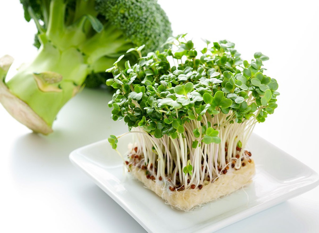 HẠT GIỐNG RAU MẦM PHÚ NÔNG 50GRAM