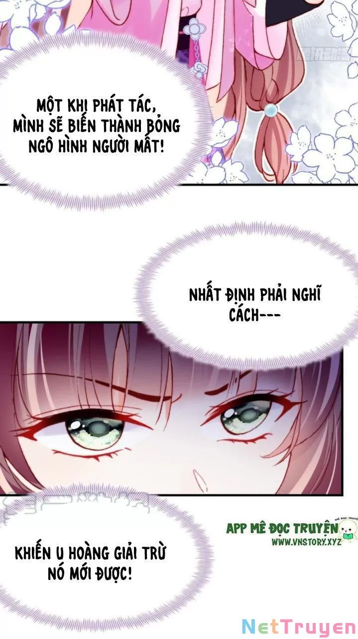 lại bị bệnh chiều chuộng quấn lấy chapter 36 15