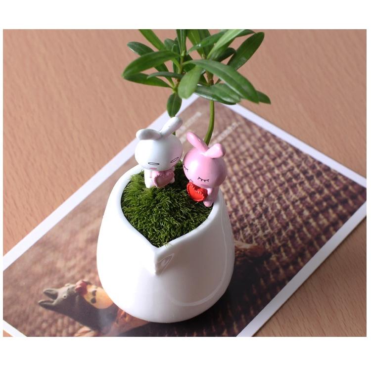 Tiểu cảnh mini ️ Thỏ trắng mini ôm trái tim trang trí tiểu cảnh, sen đá, sân vườn, terrarium