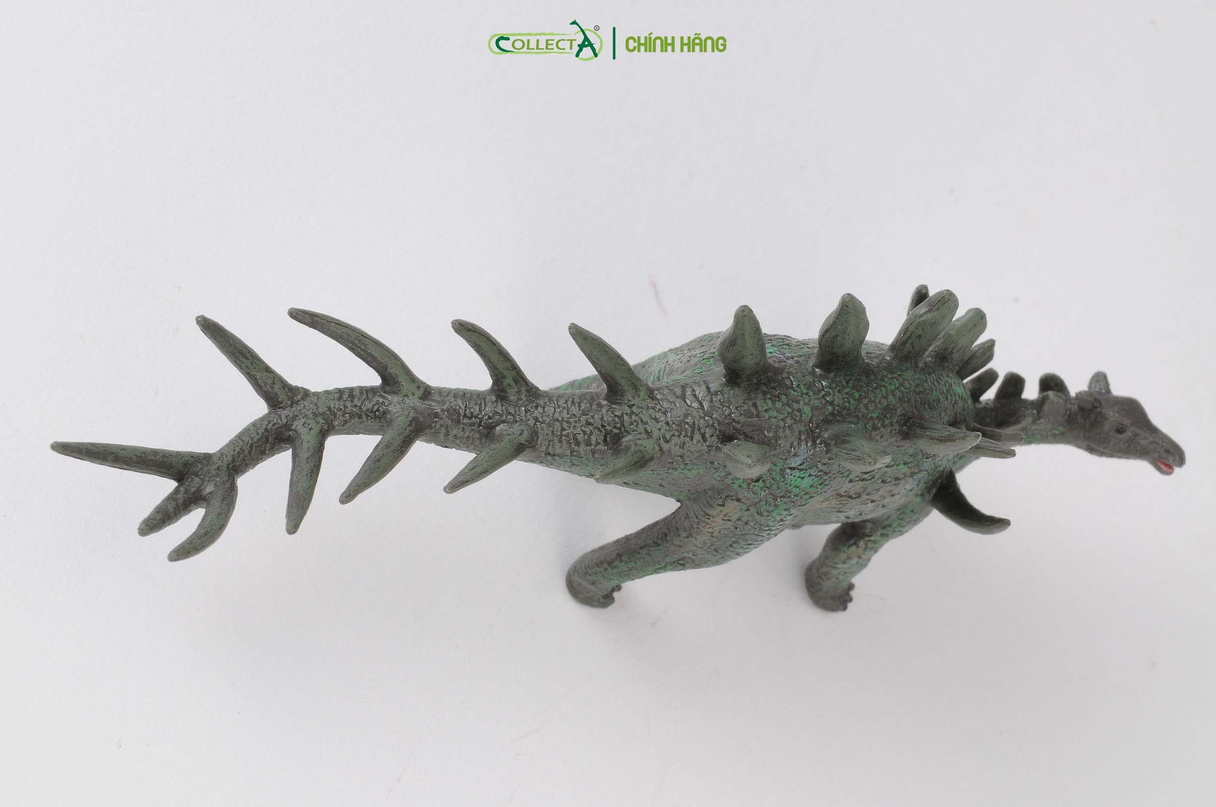 Mô hình thu nhỏ: Khủng Long Kentrosaurus - Kentrosaurus, hiệu: CollectA, mã HS 9654060 - Chất liệu an toàn cho trẻ - Hàng chính hãng