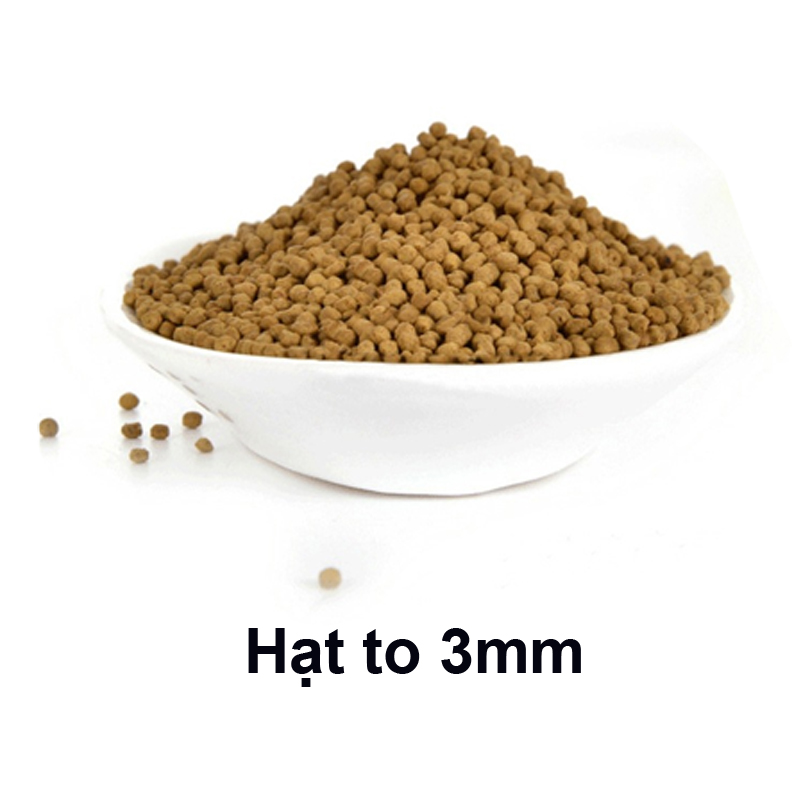 Thức Ăn Cho Cá CLEAN FOOD Cao Cấp, Phù Hợp Mọi Loại Cá Cảnh, Giàu Dinh Dưỡng, Giúp Cá Lớn Nhanh, Lên Màu Đẹp