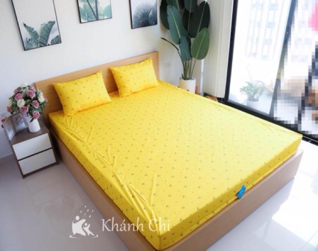 Ga chống thấm không nóng không bí siêu khoáng, chống khuẩn kt 1,8x2m đệm cao 10cm Khánh Chi