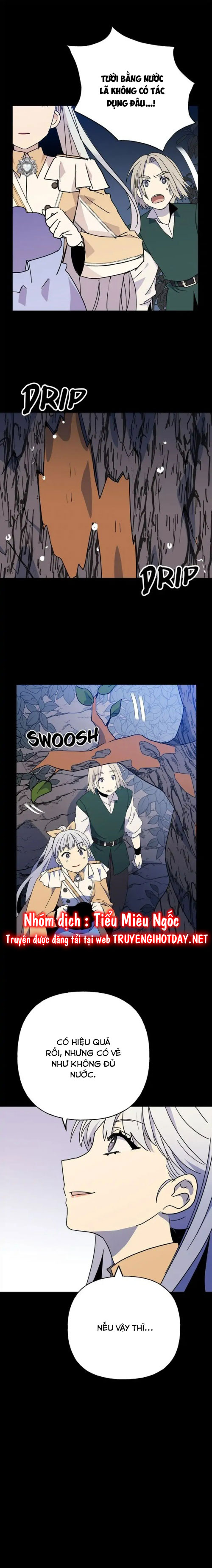 bình tĩnh nào, tiểu thư! chapter 56 6