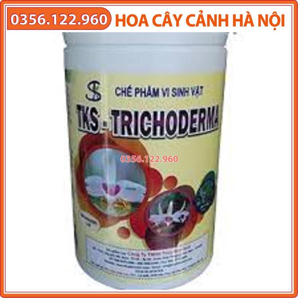 Phân bón vi sinh trị nấm bệnh, vi khuẩn Trichoderma - Lọ 1kg