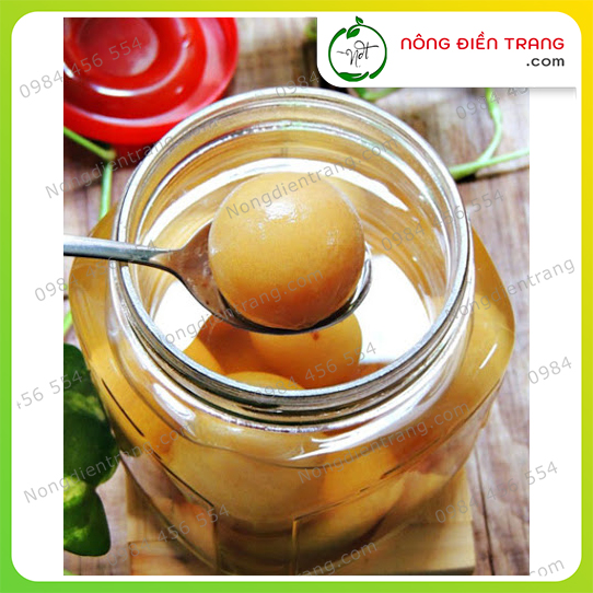 Chanh Muối Bến Tre 900g - Chanh muối mềm có mật, nhà làm, nguyên chất 100%, cam kết đảm bảo không hóa chất VTNN Nông Điền Trang