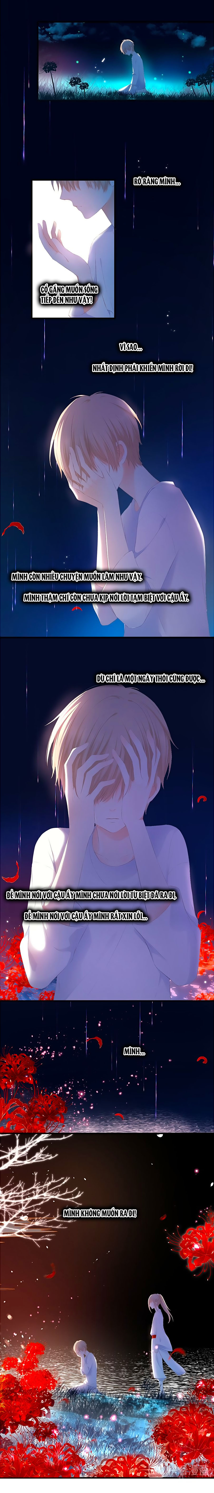 đóa hoa chớm nở chapter 39.5 7