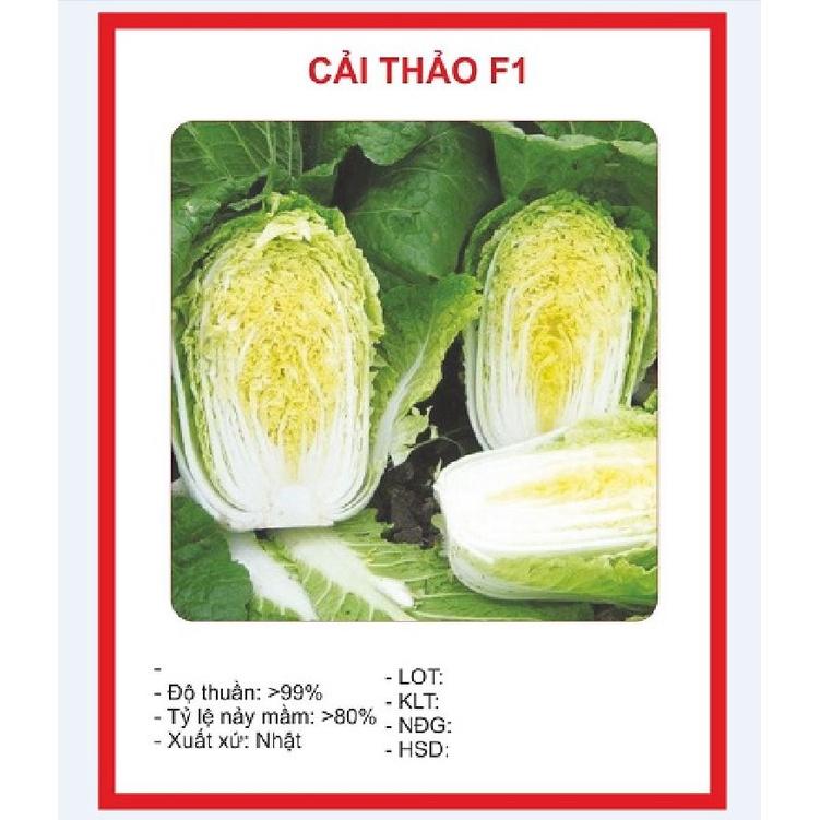 Hạt Giống Cải Thảo F1 CT501 - Gói 100 hạt