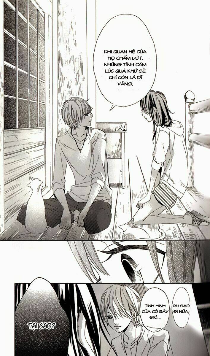 k9-jinja no mori no nora neko-kun chapter 1 22