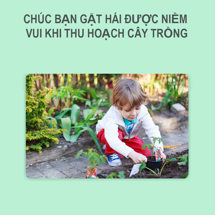 Đồ chơi nhà kính trồng cây dành cho trẻ em, bộ đồ chơi trí tuệ thông minh dành cho bé trai bé gái