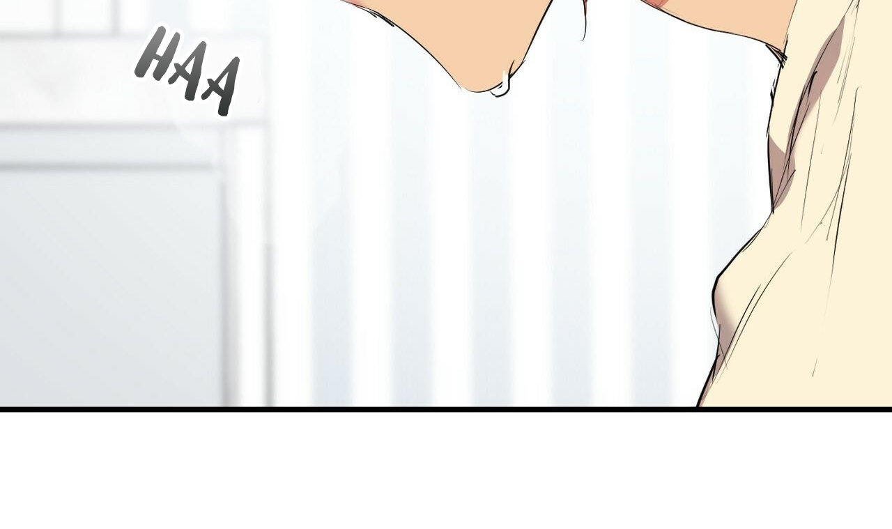 đàn thỏ của habibi chapter 38 36