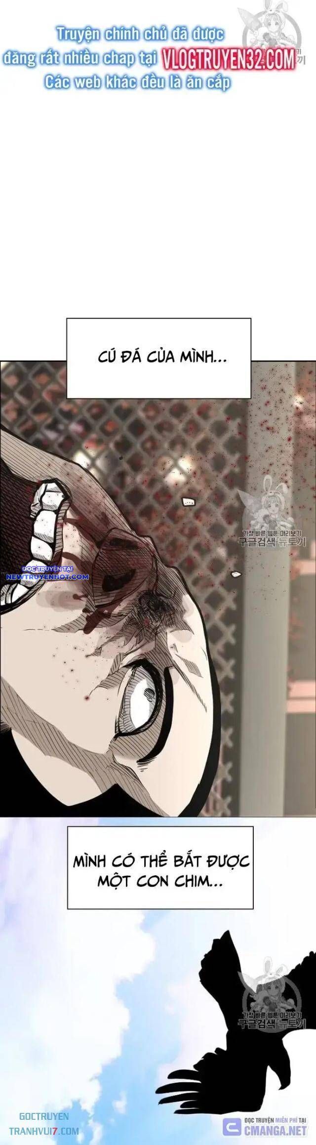 shark - cá mập chapter 181 26