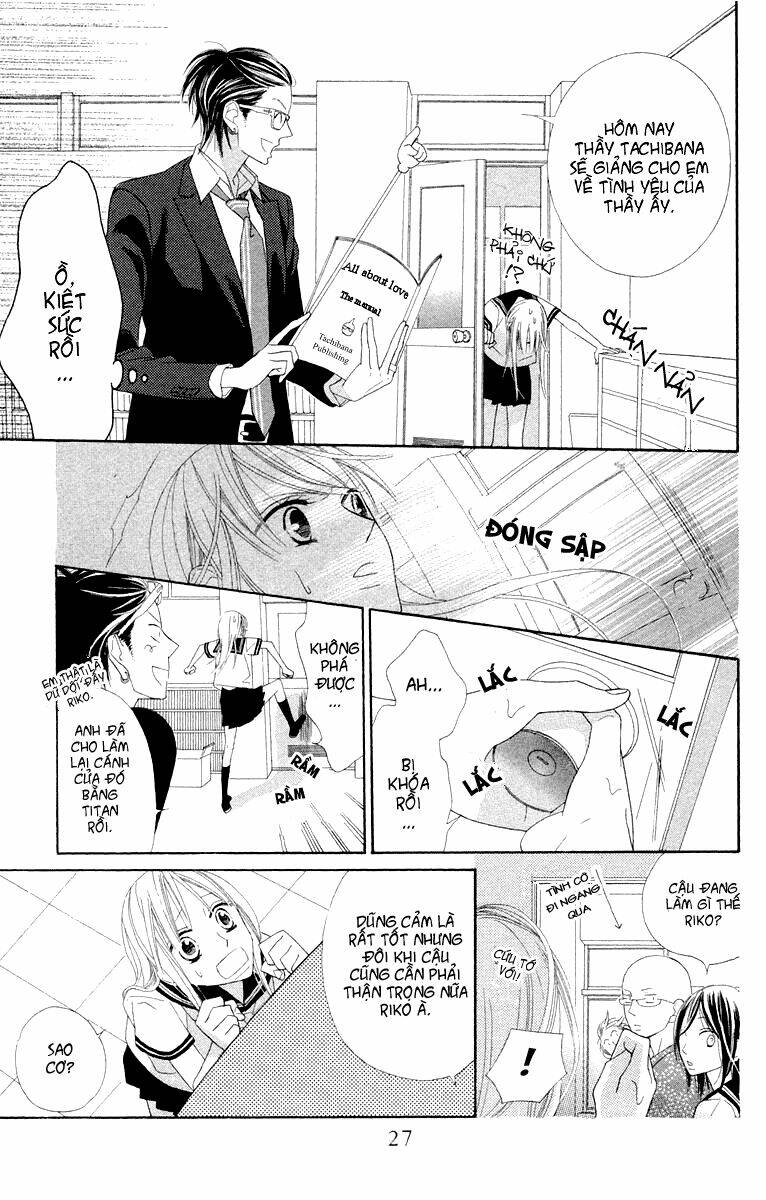 hoa trong bão chapter 1 28