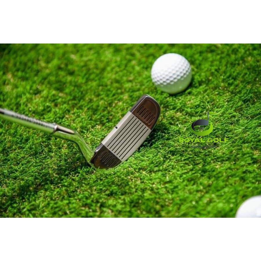 Gậy Golf Chip Hai Mặt 