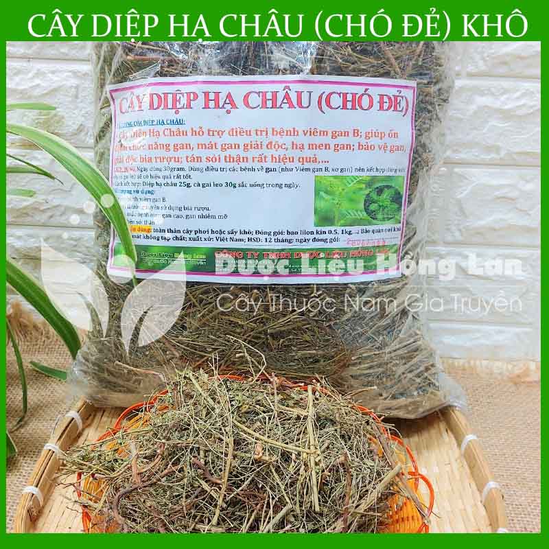 Cây Diệp Hạ Châu khô 500gram