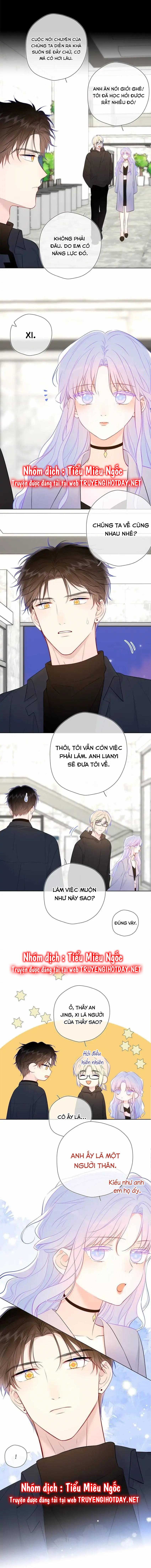 Vì Sao Của Tôi chapter 142 - Trang 8