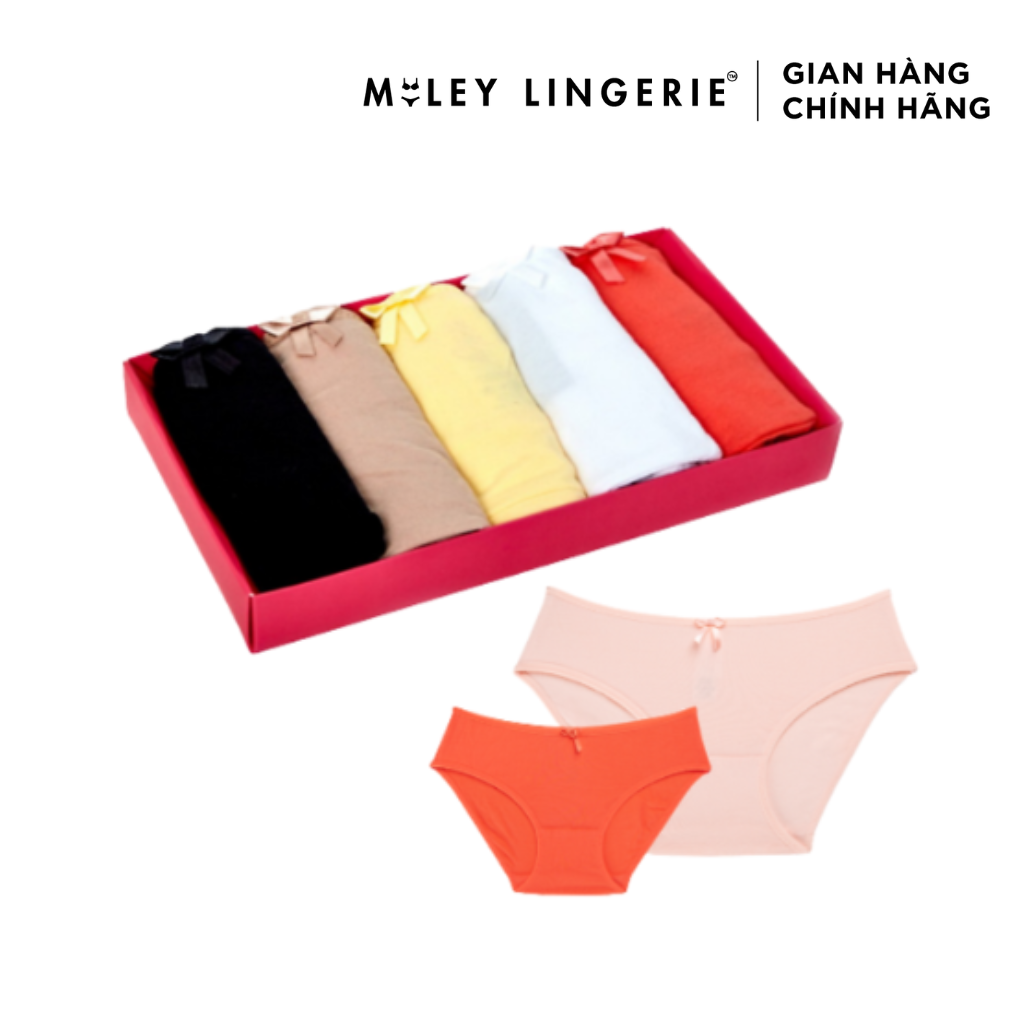 Quần lót nữ hộp quà tặng Modal New Color modern Miley Lingerie BCS_04