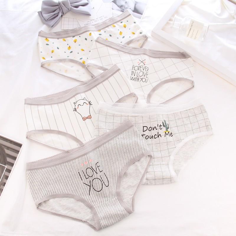 Hộp 05 quần lót cotton hình mèo ghi trắng