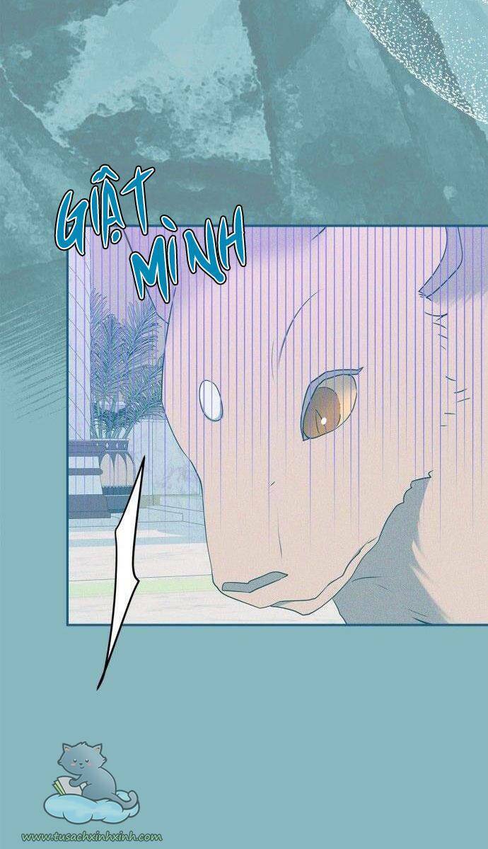 tôi đang nuôi dưỡng một con quái thú chapter 65 24