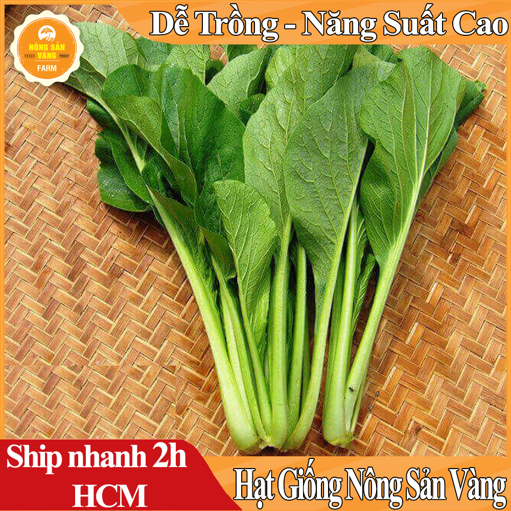 Hạt giống Cải Ngọt, Nảy Mầm Cao, Sinh Trưởng Và Phát Triển Khỏe, Kháng Bệnh Cao (Gói 20 Gram) - Nông Sản Vàng