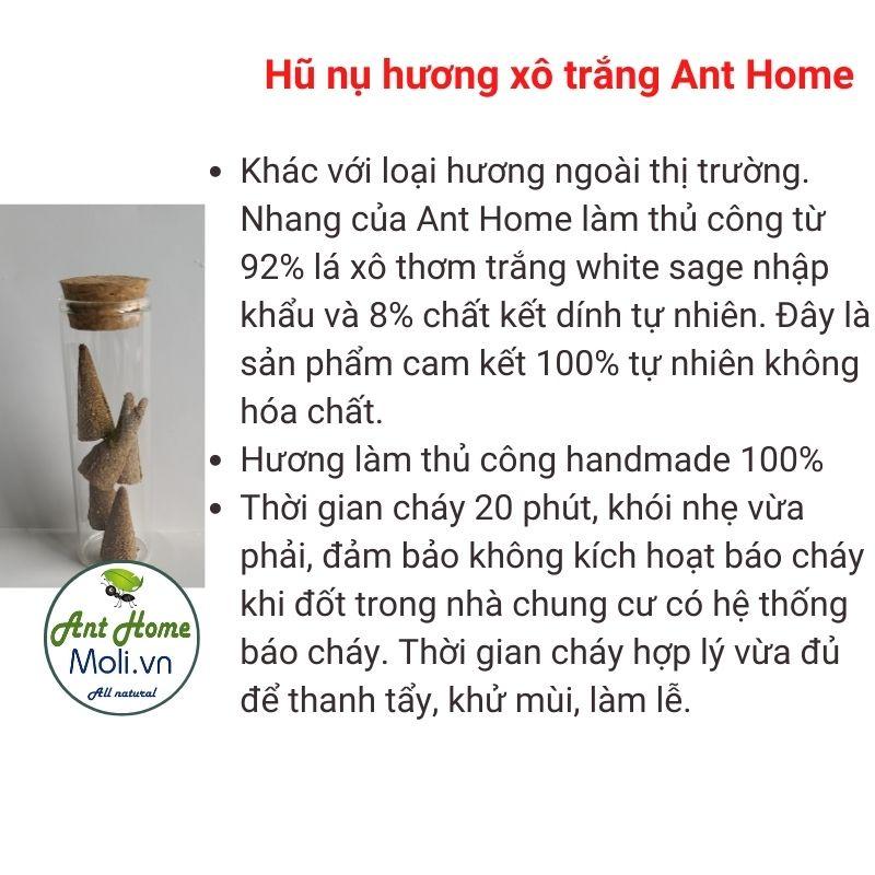 Hương Nhang Palo Santo và nhang xô thơm trắng nguyên chất