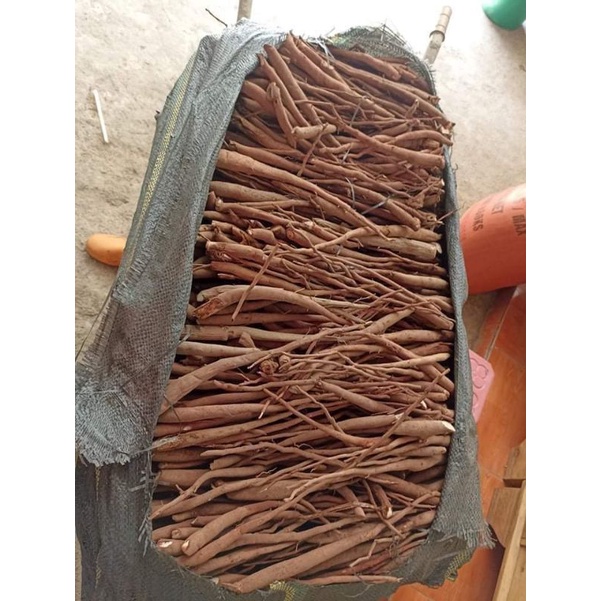 1kg sâm cau đỏ khô