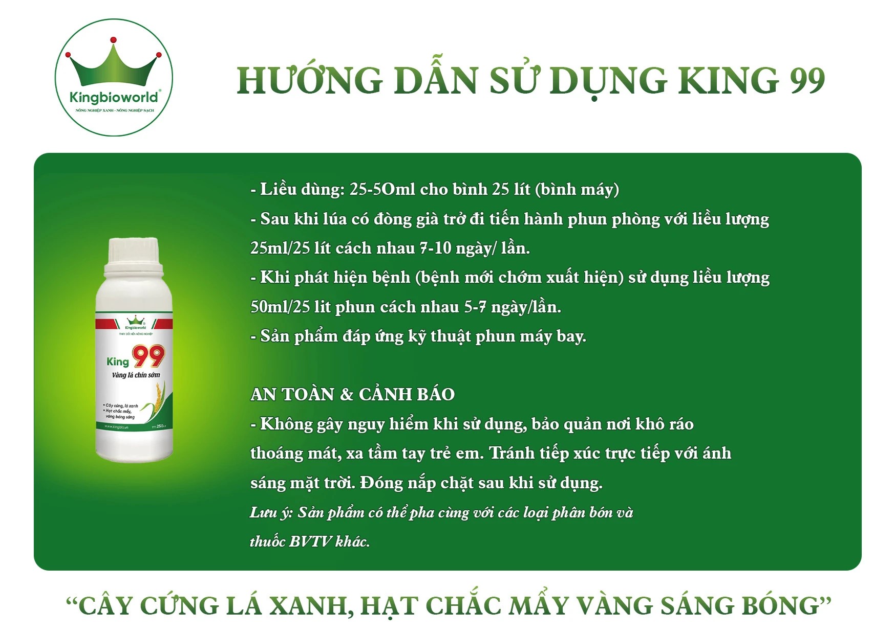 King 99 - Chuyên trị vàng lá chín sớm, giúp cứng cây lá xanh, hạt chắc mẩy vàng sáng bóng