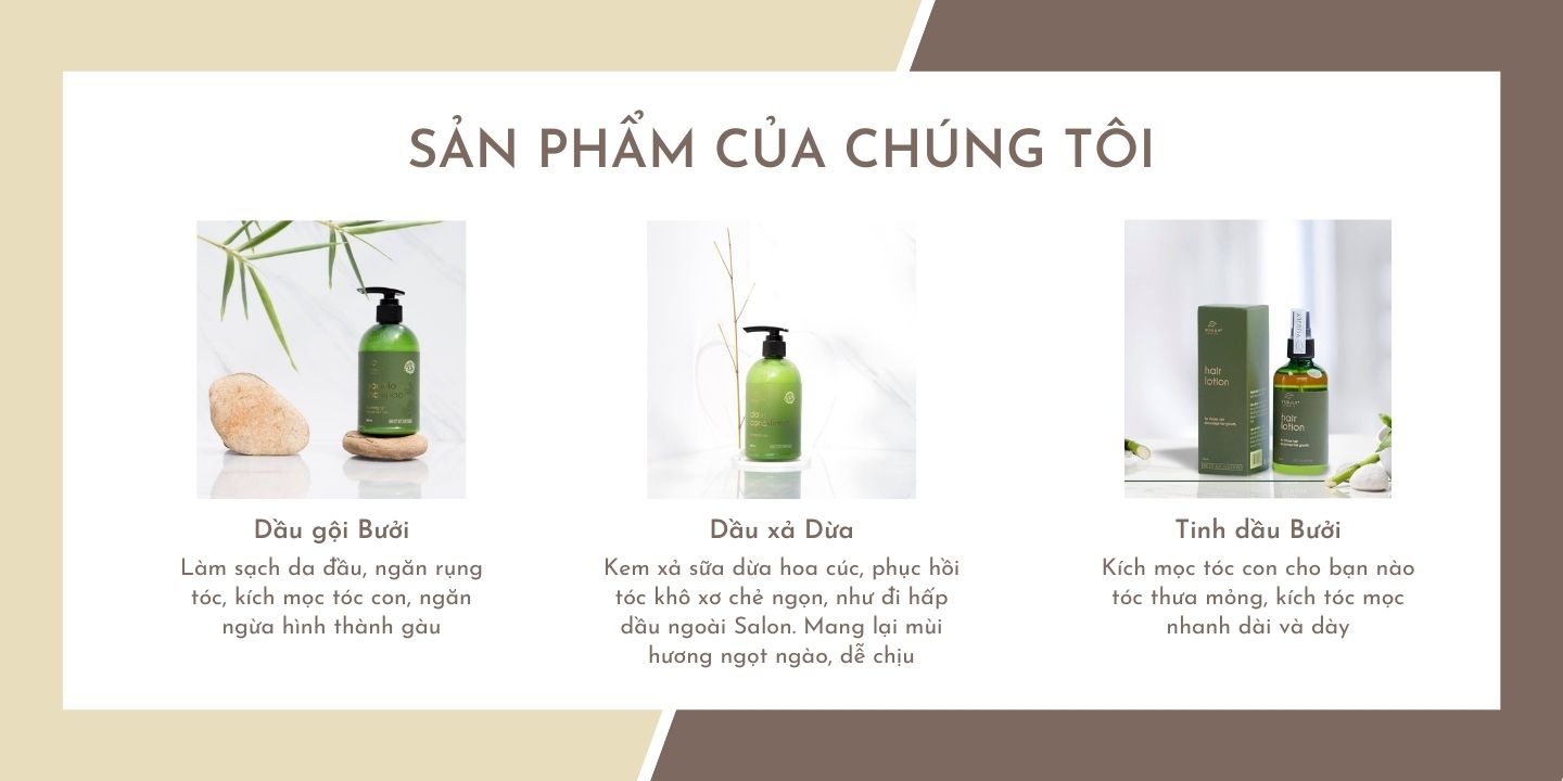 KHUYẾN MÃI CỰC SỐC [CHÍNH HÃNG] COMBO 3 SẢN PHẨM GỘI XỊT XẢ RỜI VIJULLY TẶNG 1 XỊT BƯỞI (Hair Lotion)