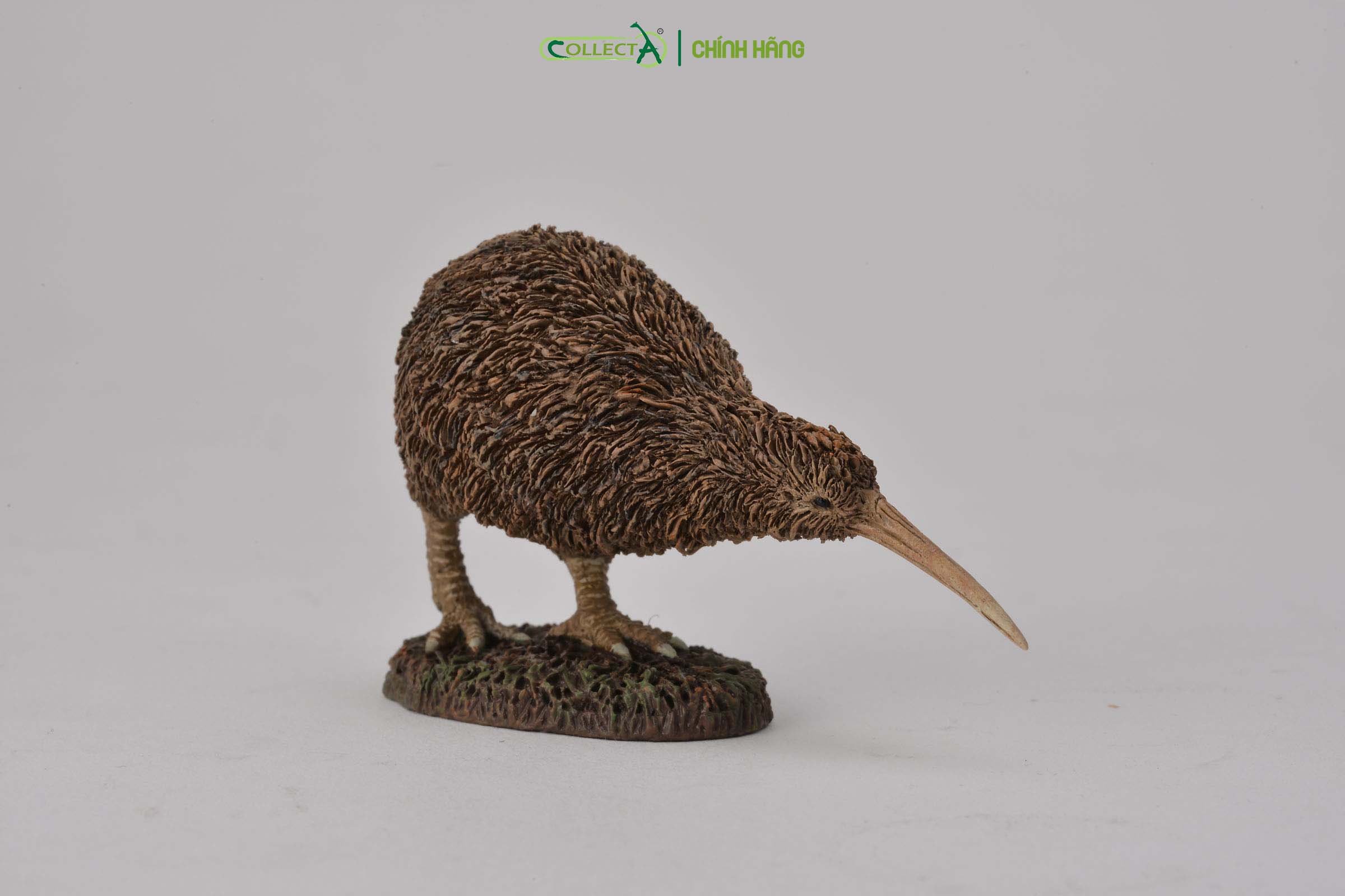 Mô hình thu nhỏ: Kiwi - Kiwi, hiệu: CollectA, mã HS 9651320[88731] -  Chất liệu an toàn cho trẻ - Hàng chính hãng