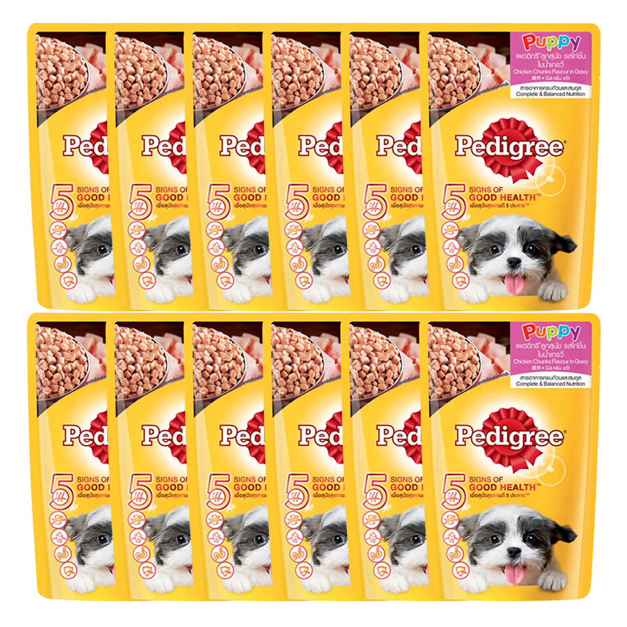 Combo 12 Gói Thức Ăn Cho Chó Con Pedigree Vị Gà Nấu Sốt (130g/gói)