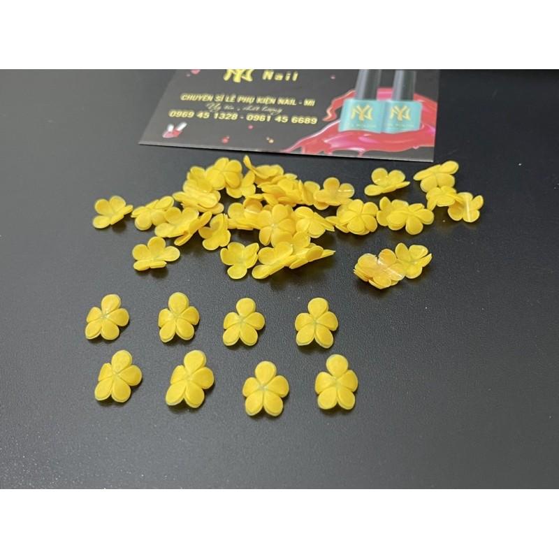 Hoa Bột nail” sét 10 bông Mai đơn”