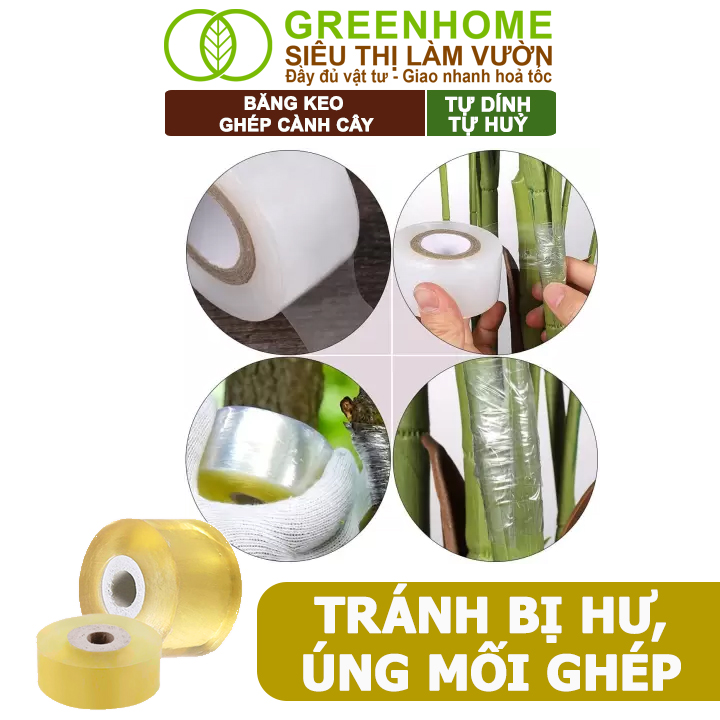 Keo Ghép Cành Greenhome, Dụng cụ làm vườn, Bảo Vệ Mối Ghép Nhanh Liền, Tự Dính, Tự Huỷ, Dễ Sử Dụng