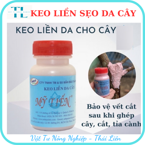 Keo Liền Da Mỹ Tiến 100ml - Keo Liền Sẹo - Phục Hồi Sẹo - Làm Lành Vết Thương - Trị Vết Thương Cây Trồng