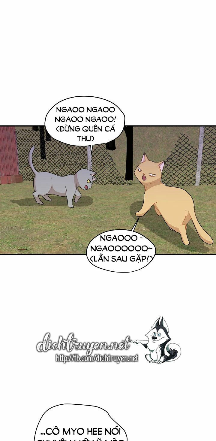 cuộc sống kỳ thú chapter 26 48