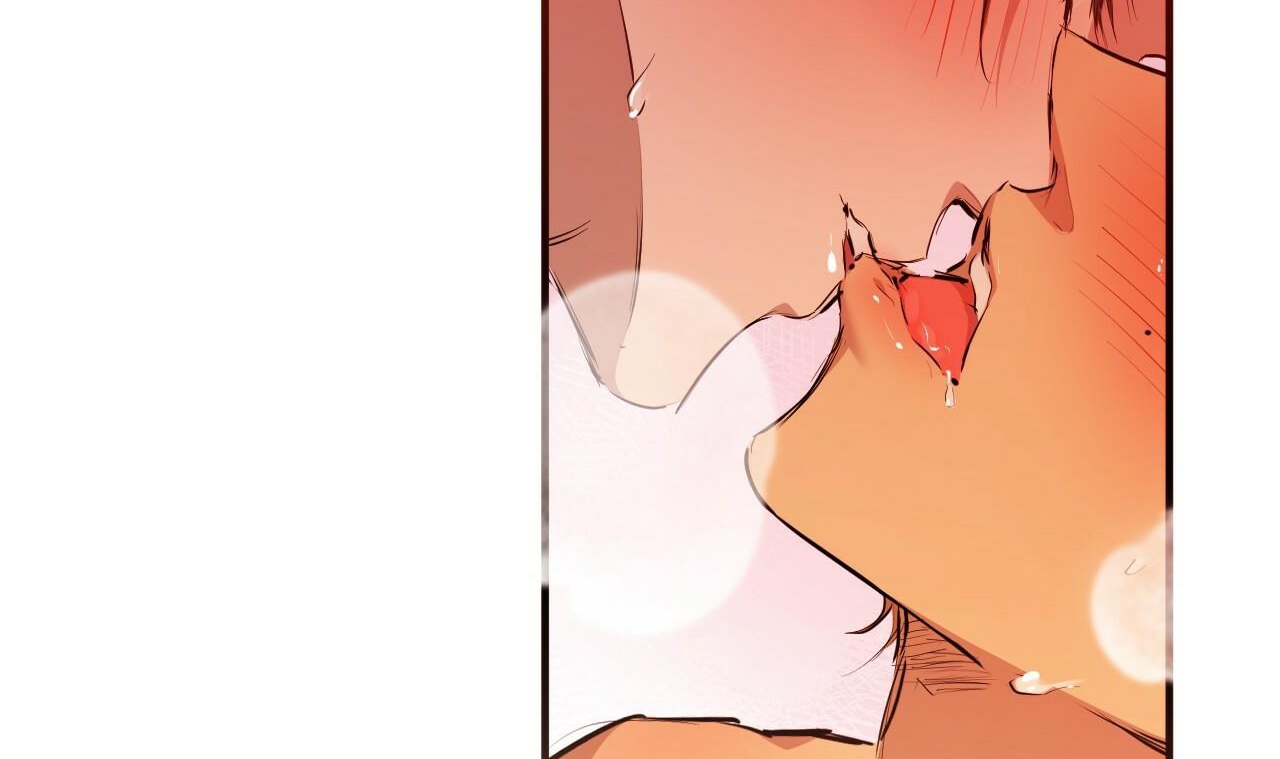 đàn thỏ của habibi chapter 25 259