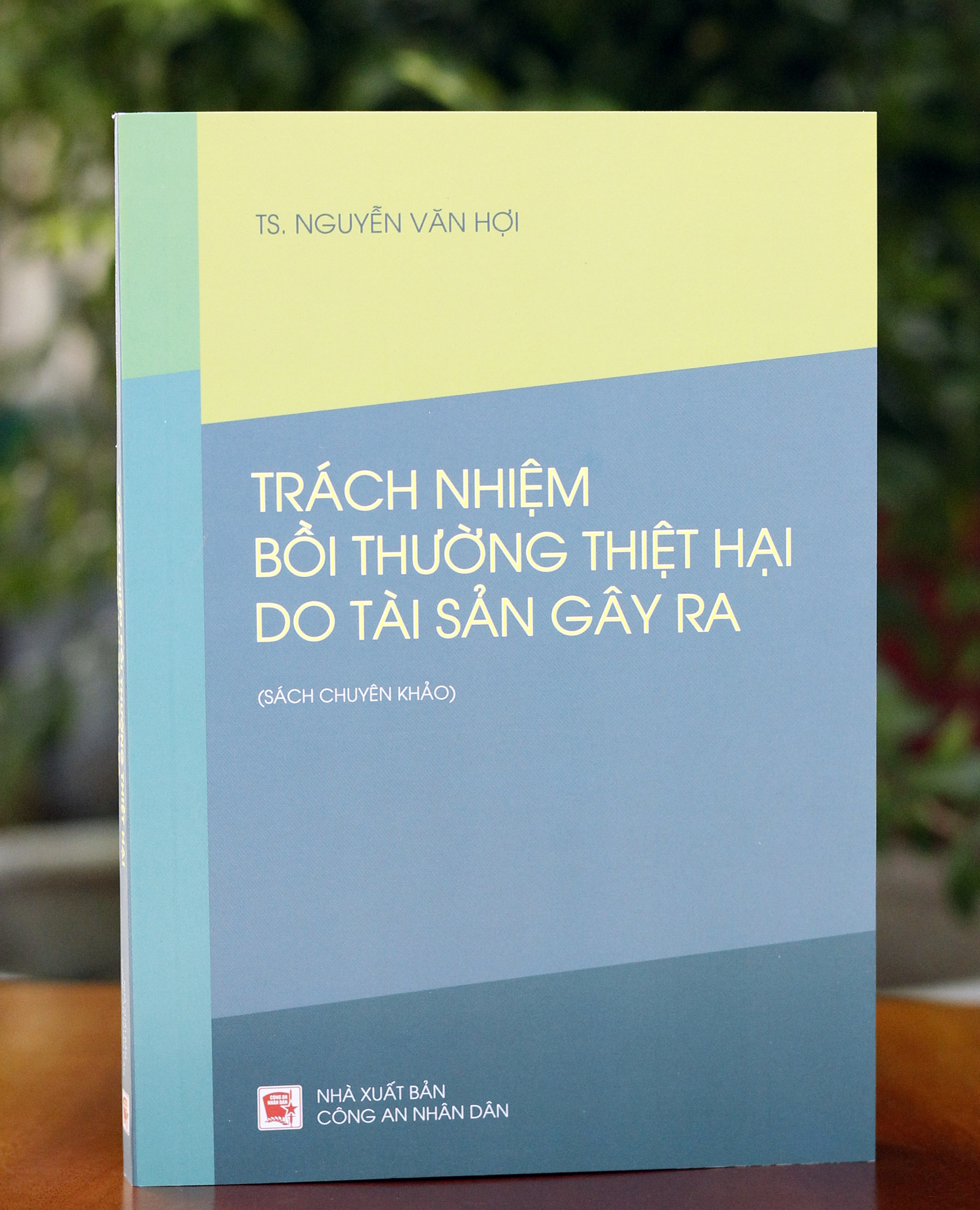 Trách Nhiệm Bồi Thường Thiệt Hại Do Tài Sản Gây Ra (Sách Chuyên Khảo)