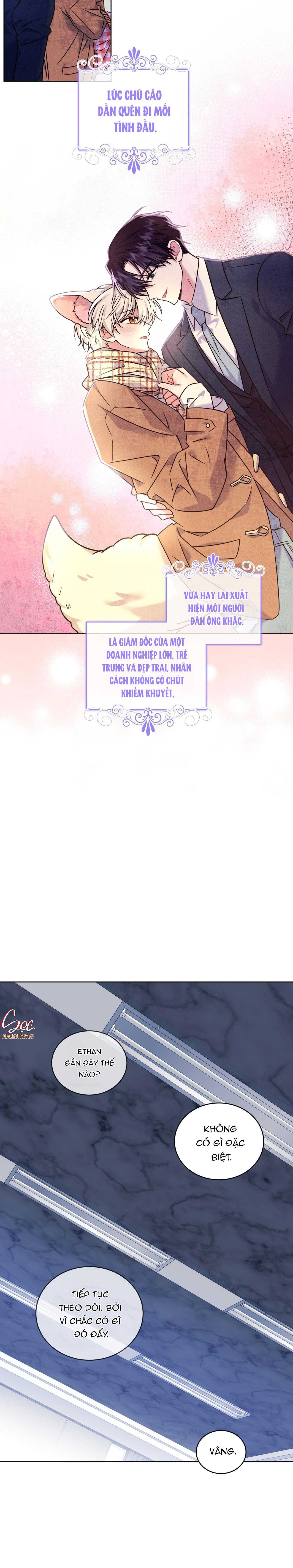 nước uống tình yêu của cáo plin chapter 12 17