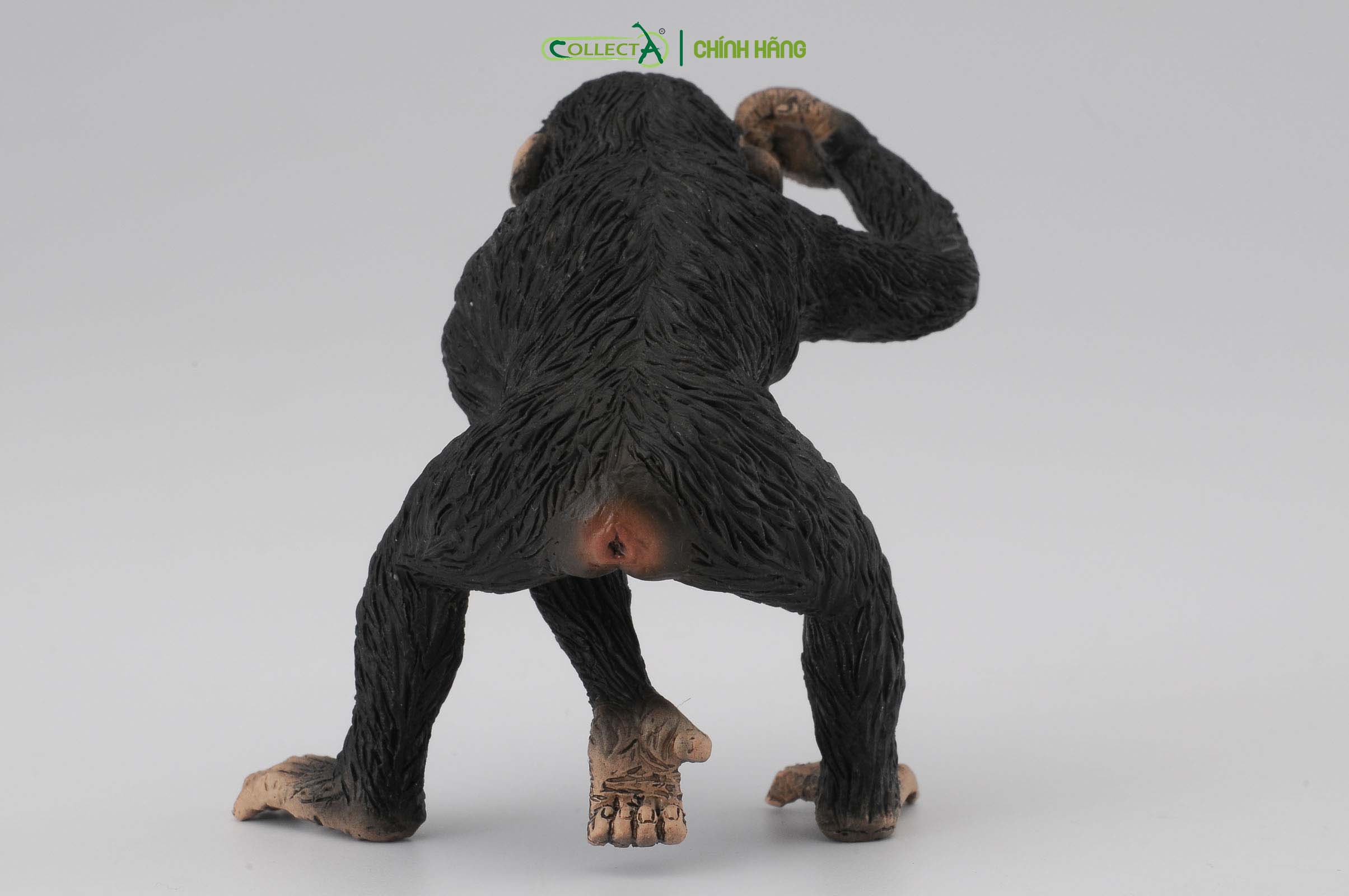 Mô hình thu nhỏ: Tinh Tinh bố - Chimpanzee Male, hiệu: CollectA, mã HS 9651031[88492] -  Chất liệu an toàn cho trẻ - Hàng chính hãng