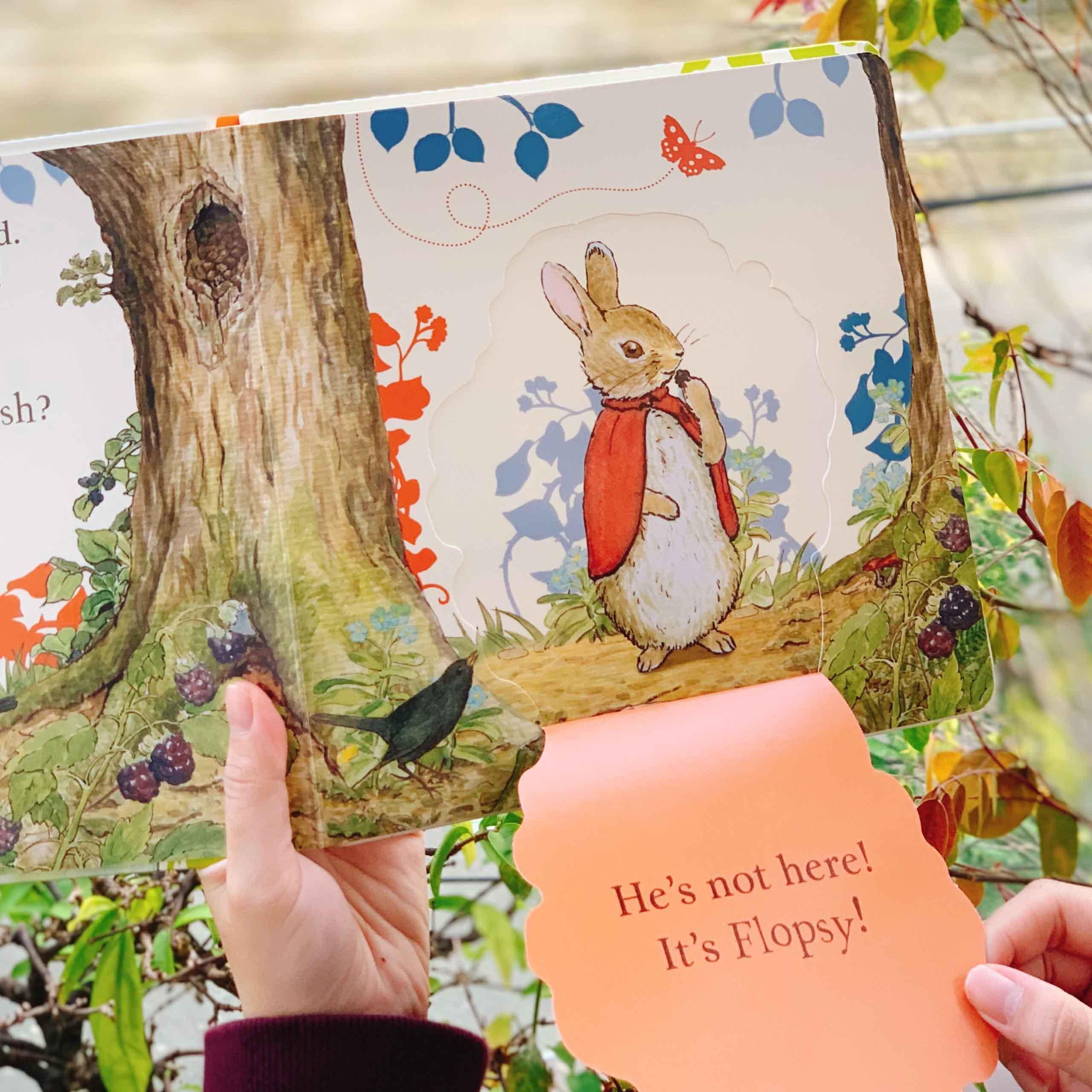 Where is Peter Rabbit? : Lift the Flap Book