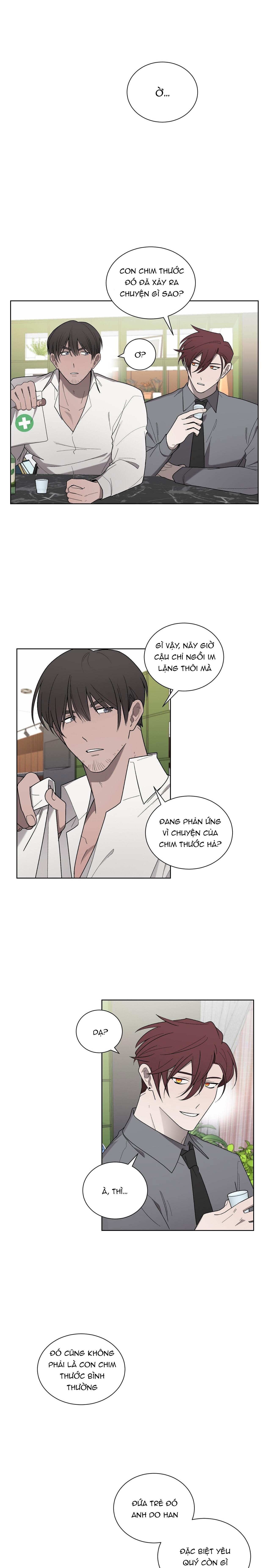 khi chim thước đến chapter 18 9