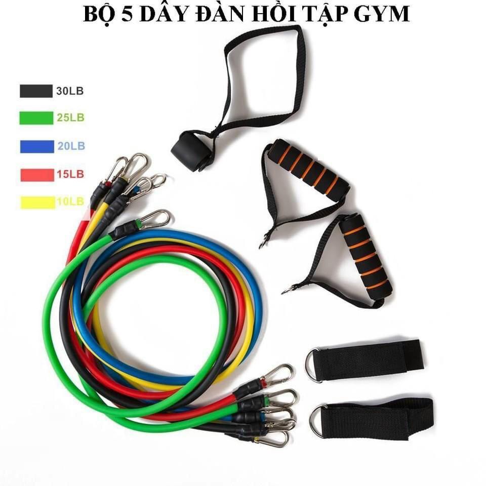 Bộ 5 dây đàn hồi tập GYM