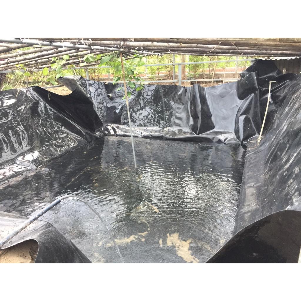 Bạt HDPE, Bạt lót hồ ốc, bạt lót hồ nuôi tôm, cá, ếch, lươn... bằng màng HDPE