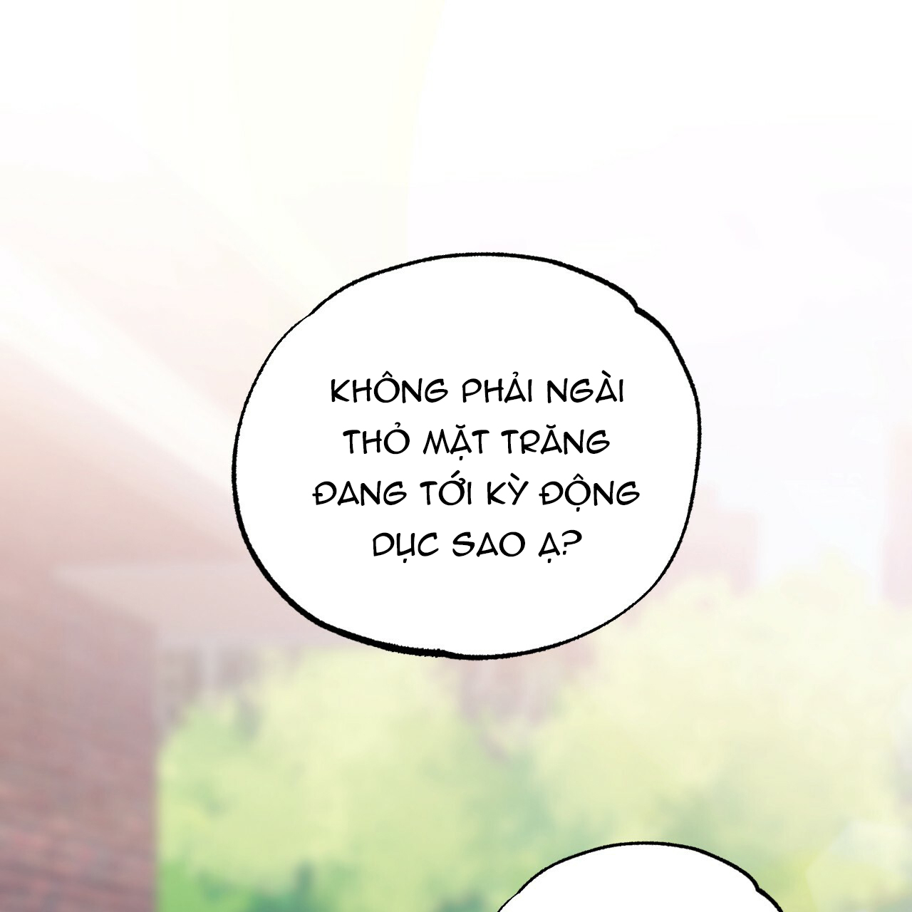 NHỮNG CHÚ THỎ CỦA HAPYPY chapter 10